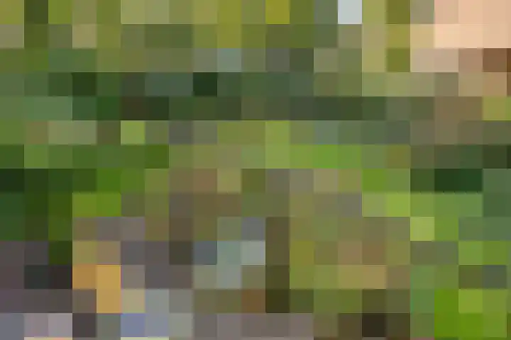 Landspoelen 3 Gieten thumbnail 40