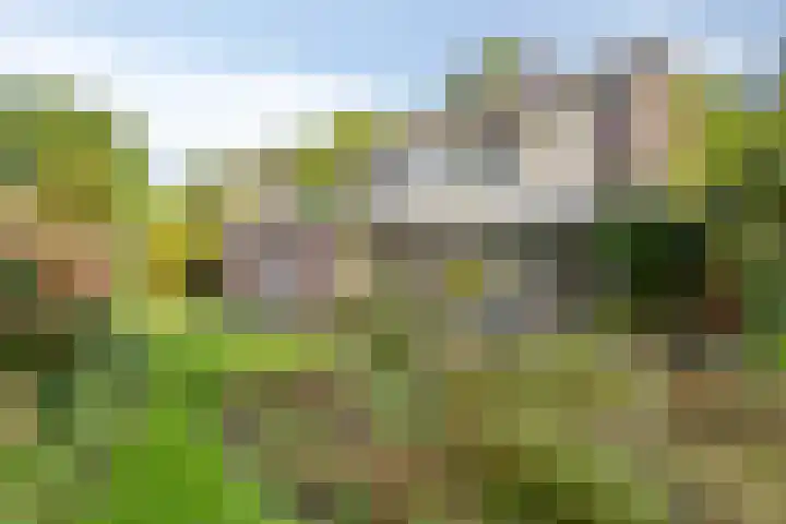 Landspoelen 3 Gieten thumbnail 41