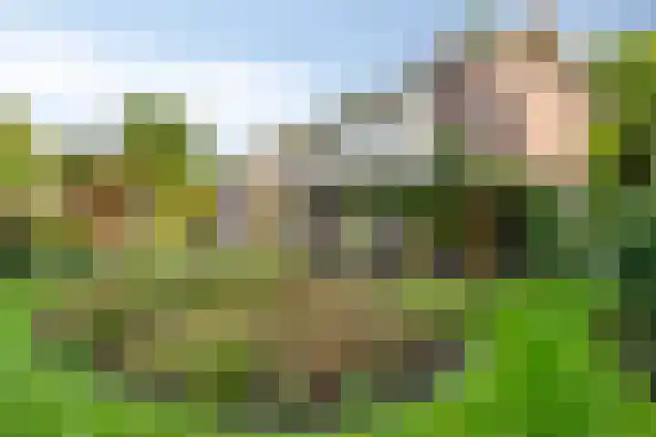 Landspoelen 3 Gieten thumbnail 42