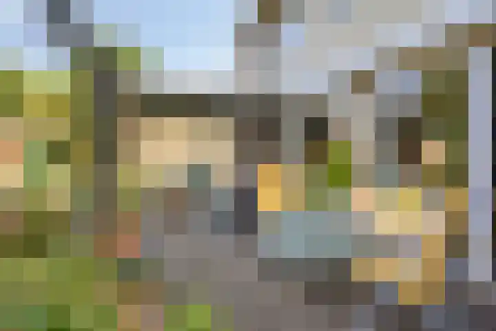 Landspoelen 3 Gieten thumbnail 44