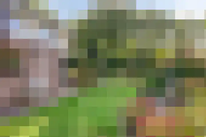 Landspoelen 3 Gieten thumbnail 45