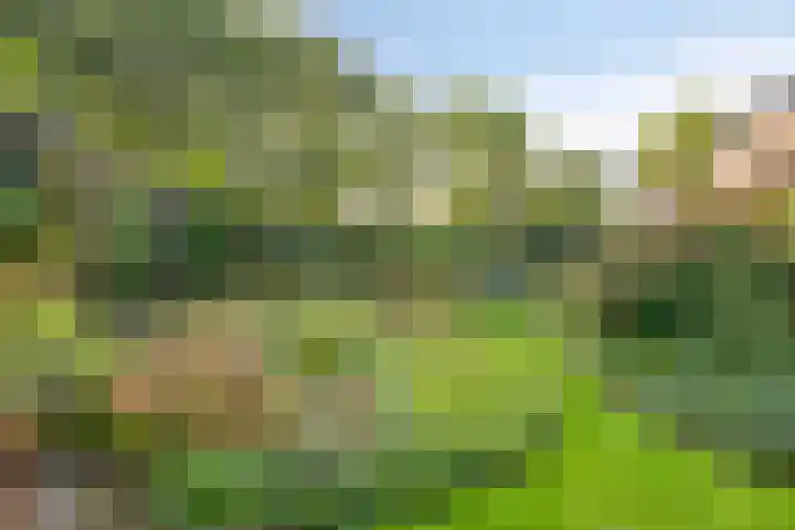 Landspoelen 3 Gieten thumbnail 46