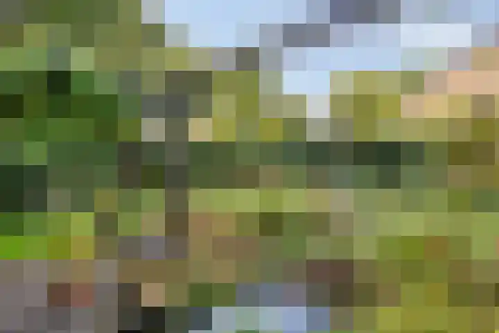 Landspoelen 3 Gieten thumbnail 47