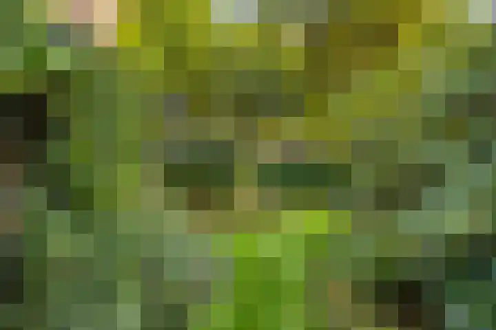 Landspoelen 3 Gieten thumbnail 48
