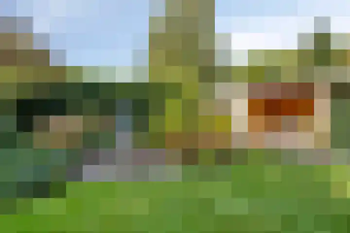 Landspoelen 3 Gieten thumbnail 49