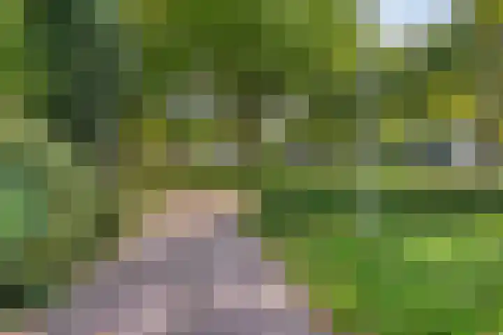 Landspoelen 3 Gieten thumbnail 51
