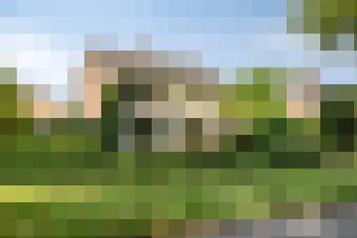 Landspoelen 3 Gieten thumbnail 7