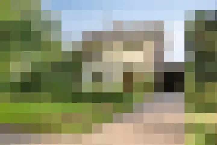 Landspoelen 3 Gieten thumbnail 8
