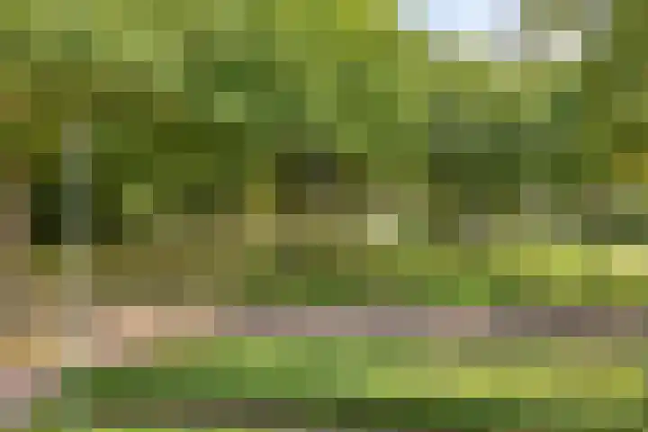 Landspoelen 3 Gieten thumbnail 9