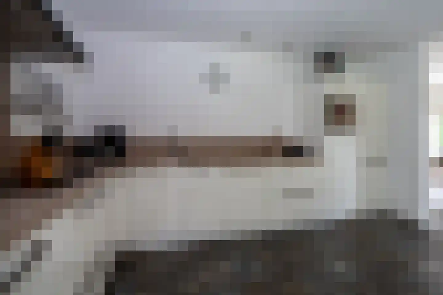 Landspoelen 7 Gieten thumbnail 12