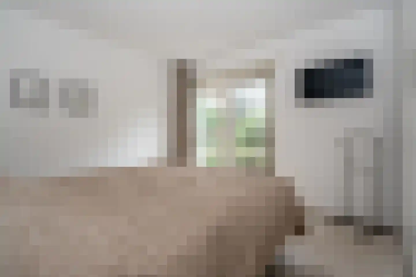 Landspoelen 7 Gieten thumbnail 21