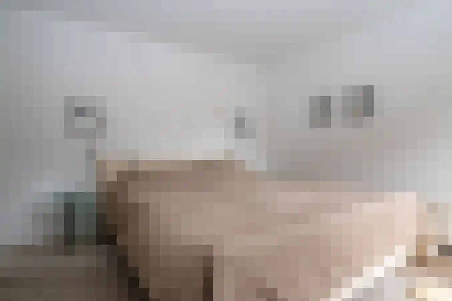 Landspoelen 7 Gieten thumbnail 22