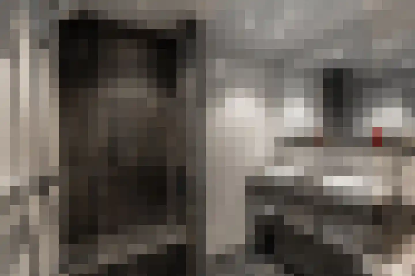 Landspoelen 7 Gieten thumbnail 31