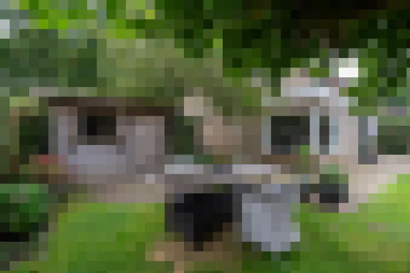 Landspoelen 7 Gieten thumbnail 41