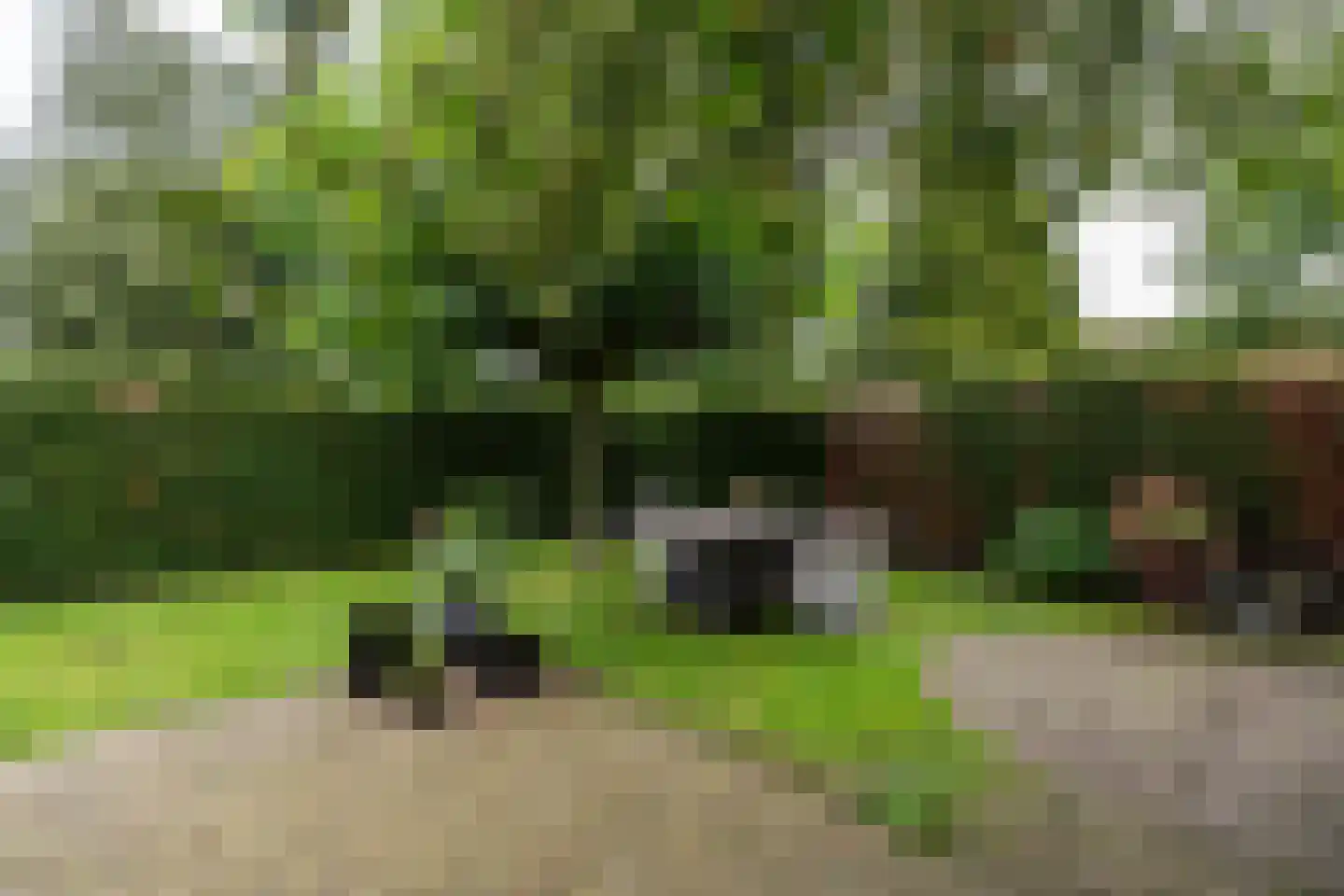 Landspoelen 7 Gieten thumbnail 42