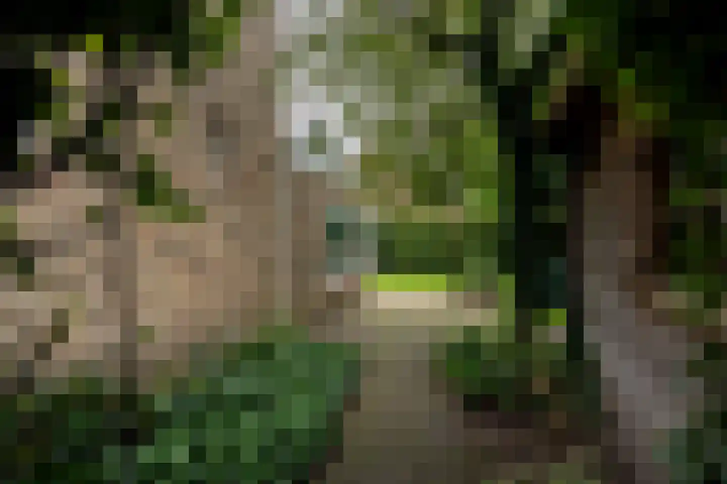 Landspoelen 7 Gieten thumbnail 44