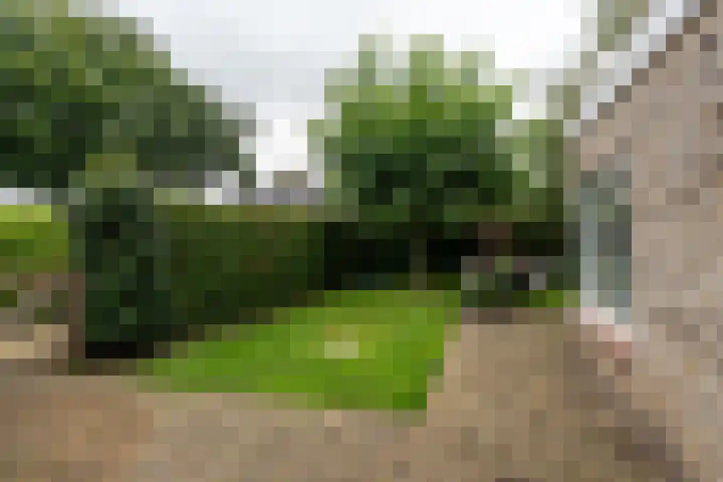 Landspoelen 7 Gieten thumbnail 45