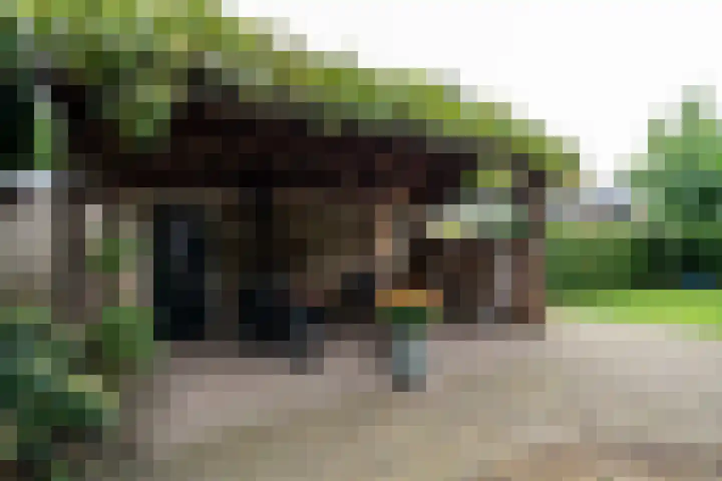Landspoelen 7 Gieten thumbnail 47