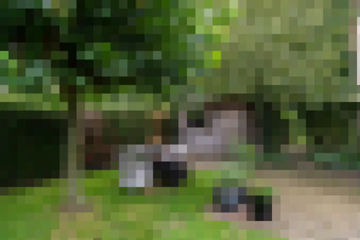 Landspoelen 7 Gieten thumbnail 48