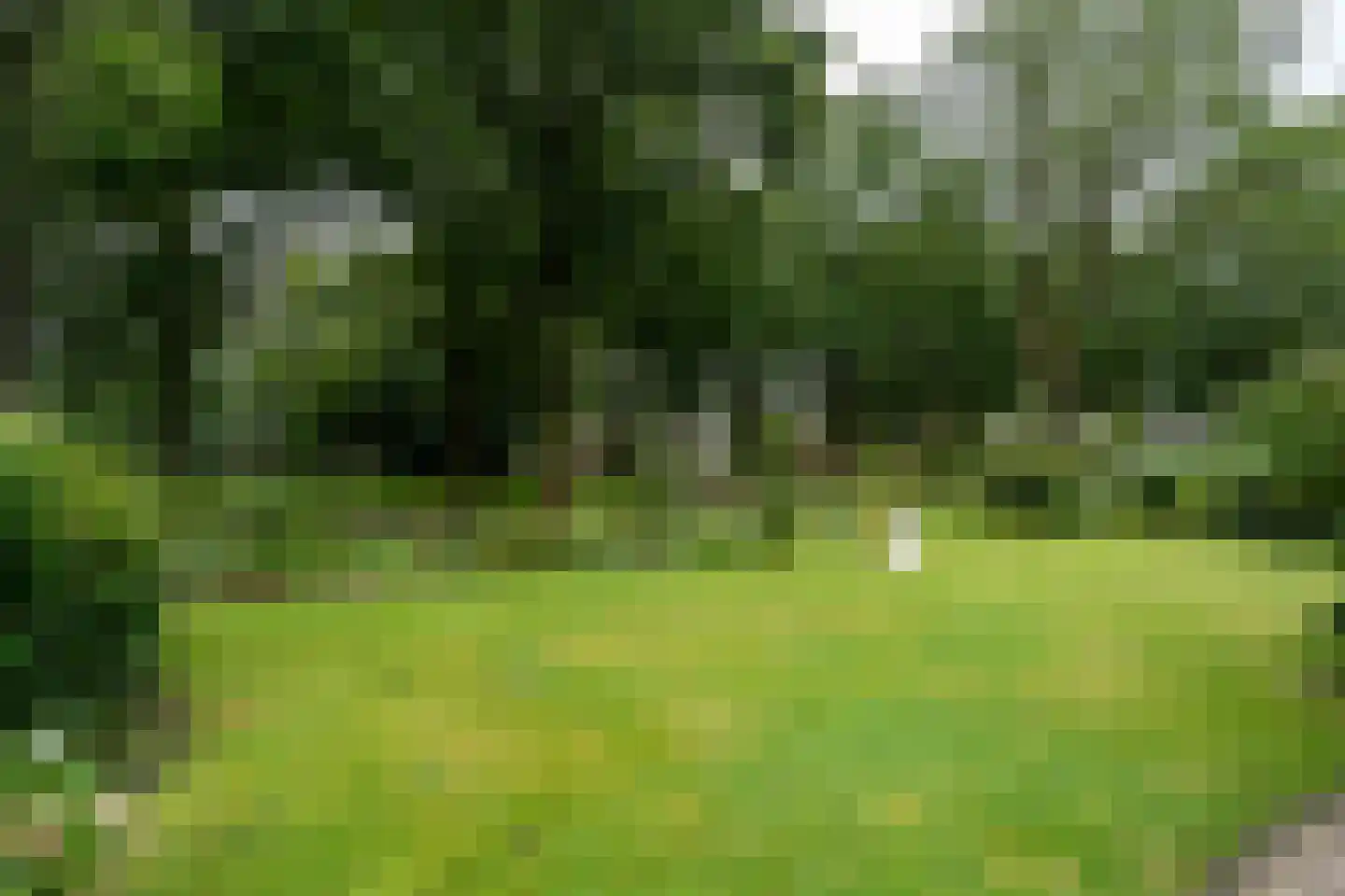 Landspoelen 7 Gieten thumbnail 49