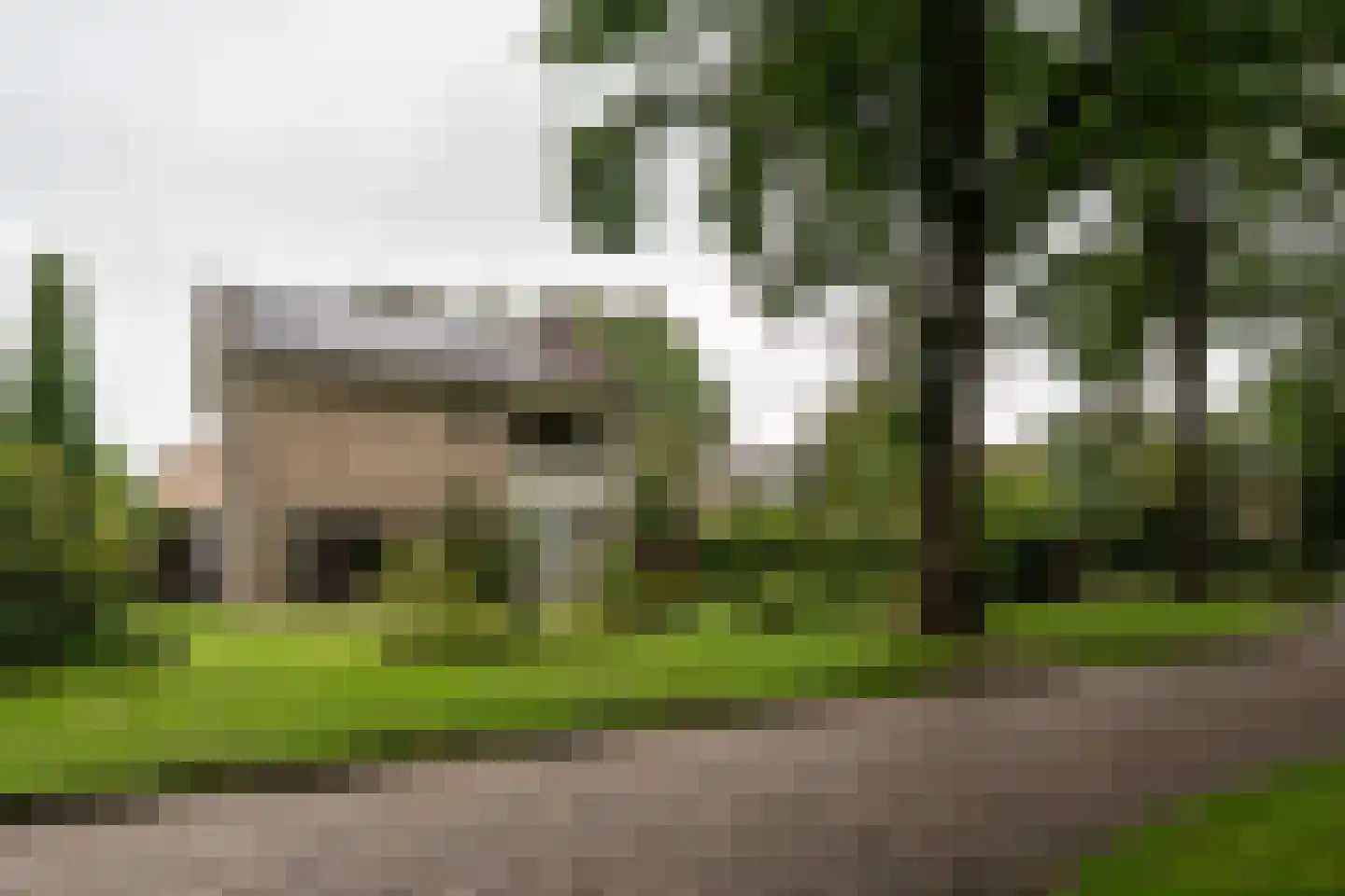 Landspoelen 7 Gieten thumbnail 50