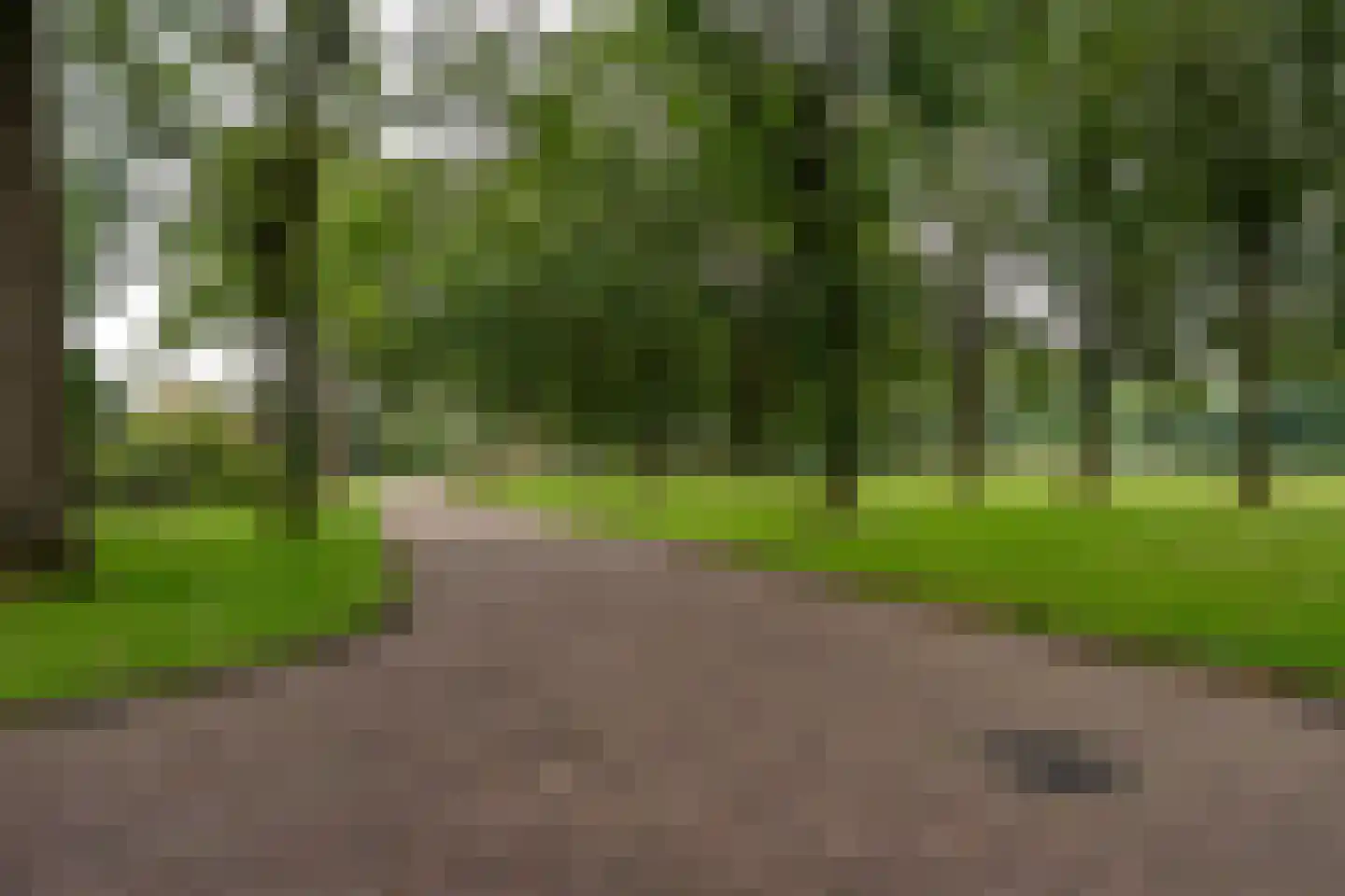 Landspoelen 7 Gieten thumbnail 51