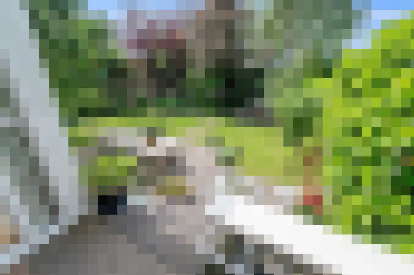 Landsteinerbocht 2 Delft thumbnail 14