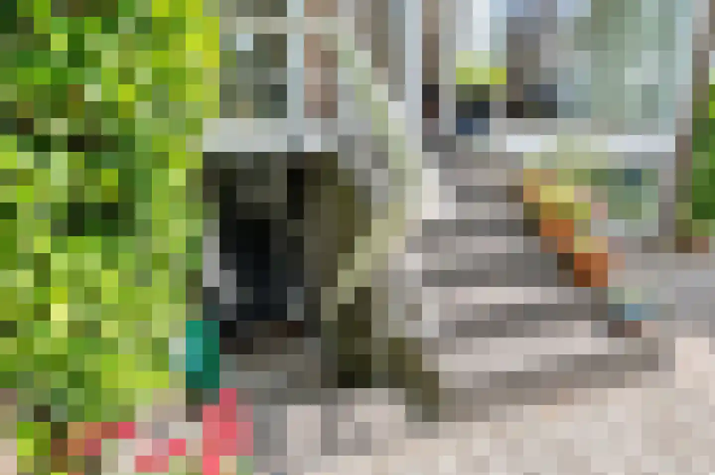 Landsteinerbocht 2 Delft thumbnail 16