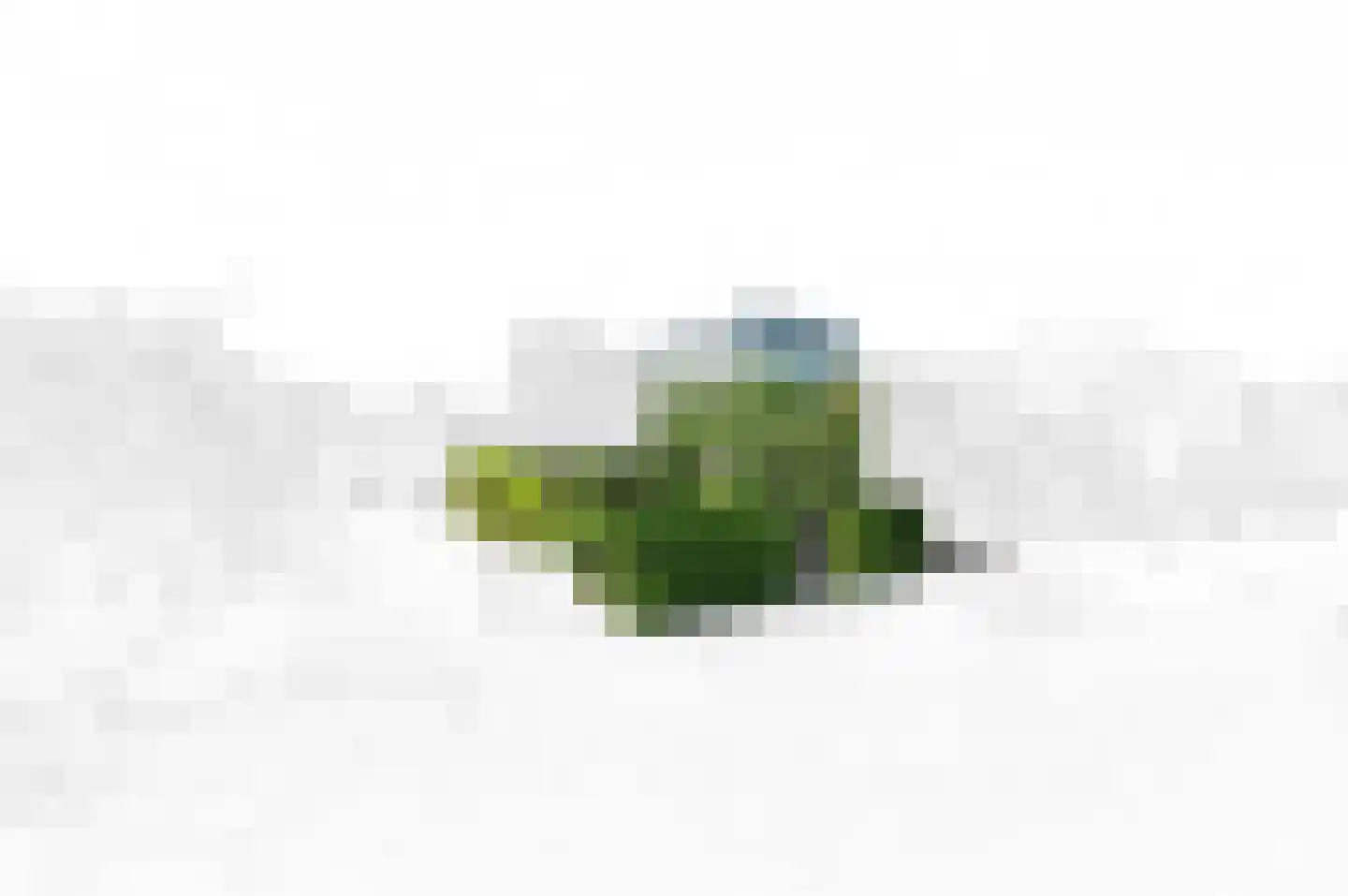 Landsteinerbocht 2 Delft thumbnail 4