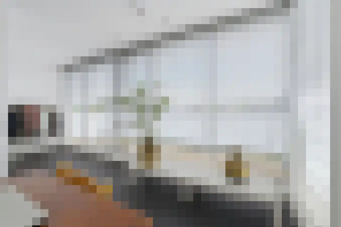 Landsteinerbocht 2 Delft thumbnail 61