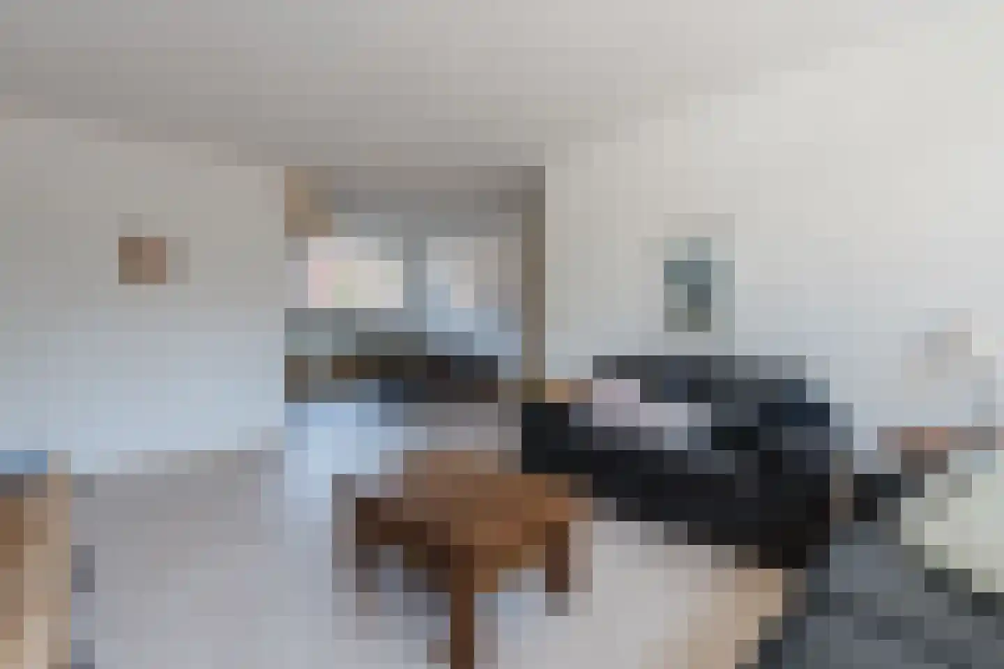Landsteinerhof 20 Hoogeveen thumbnail 12
