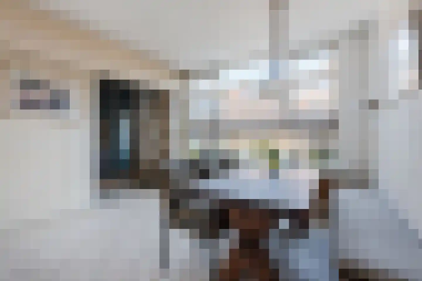 Landsteinerhof 20 Hoogeveen thumbnail 14