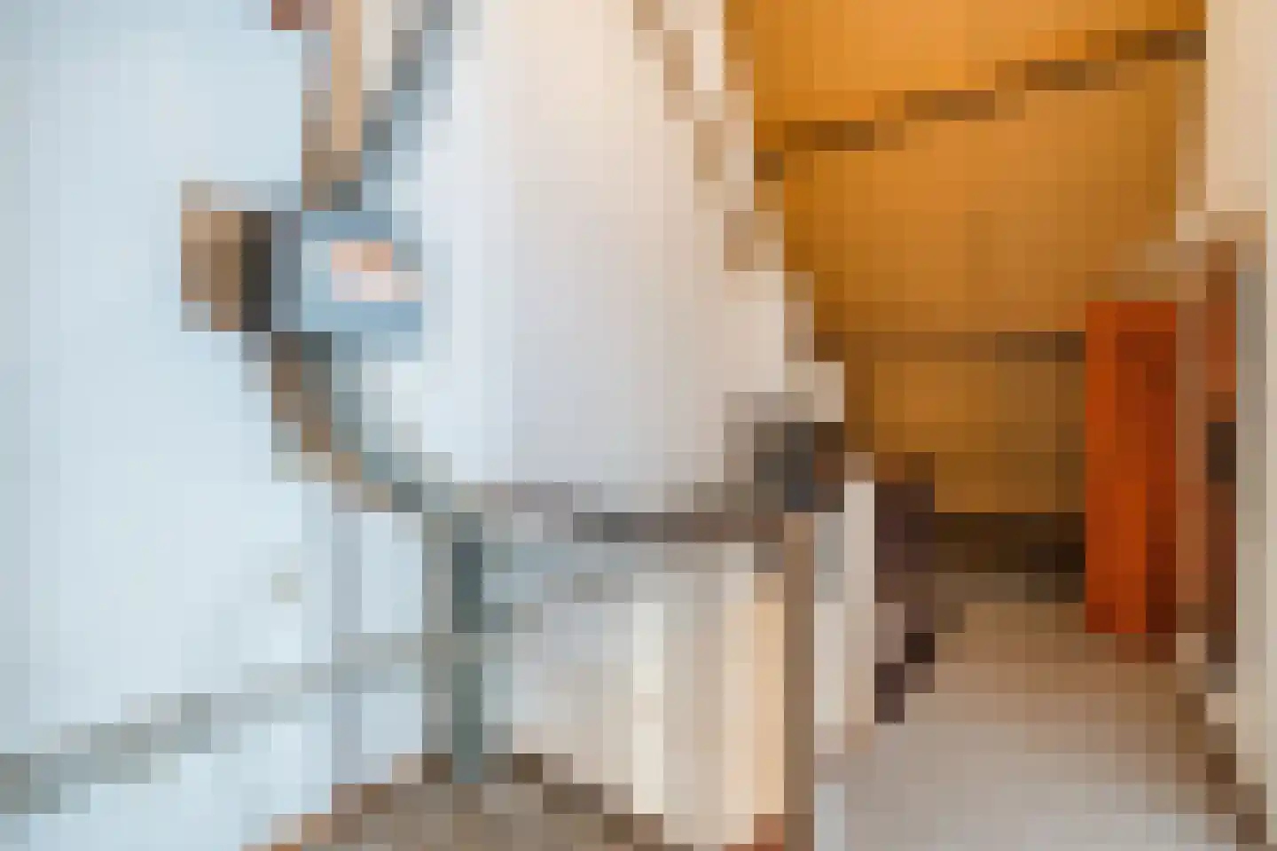 Landsteinerhof 20 Hoogeveen thumbnail 31
