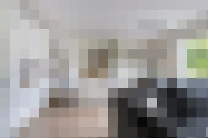Landsteinerlaan 19 Groningen thumbnail 13