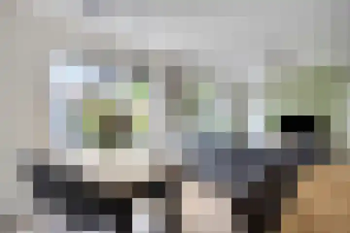 Landsteinerlaan 19 Groningen thumbnail 15