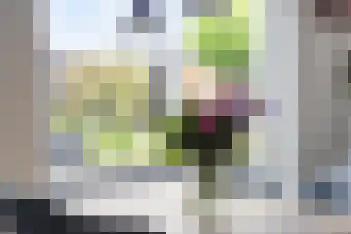 Landsteinerlaan 19 Groningen thumbnail 17