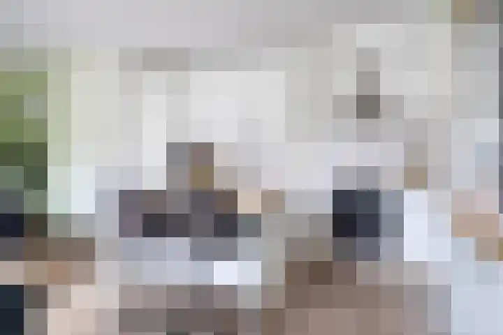 Landsteinerlaan 19 Groningen thumbnail 18