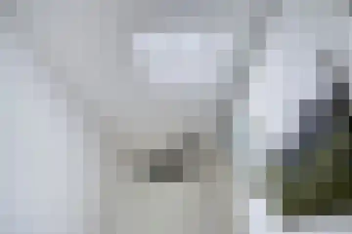 Landsteinerlaan 19 Groningen thumbnail 22