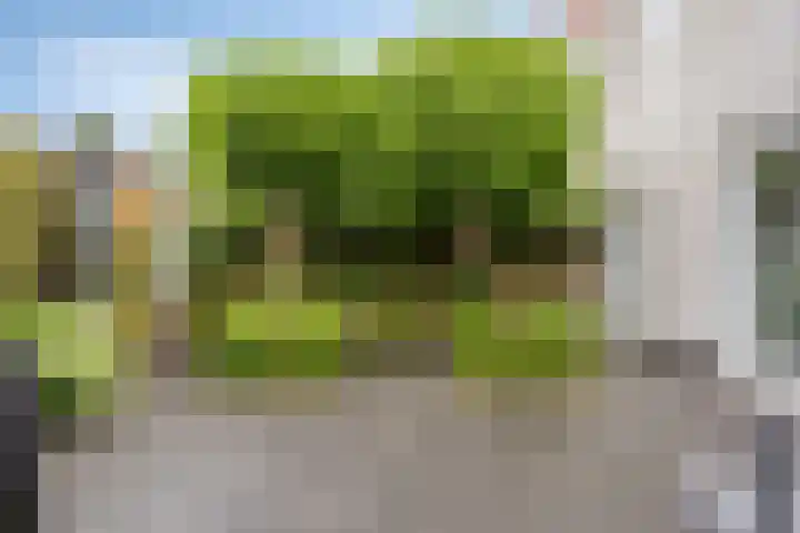 Landsteinerlaan 19 Groningen thumbnail 34