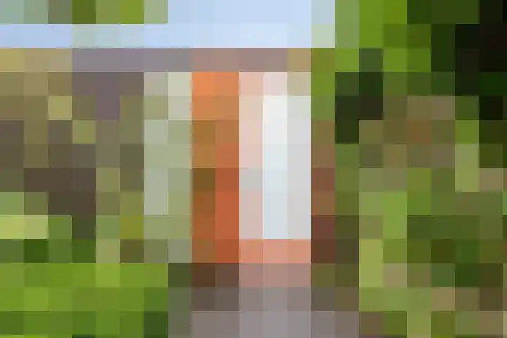 Landsteinerlaan 19 Groningen thumbnail 35