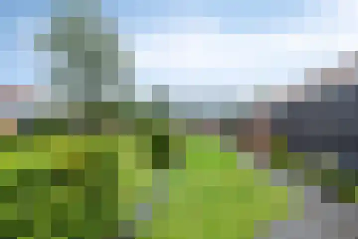 Landsteinerlaan 19 Groningen thumbnail 36