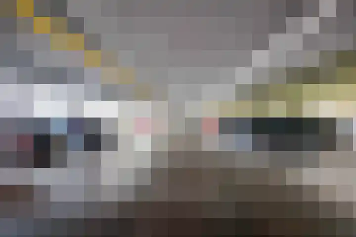 Landsteinerlaan 19 Groningen thumbnail 39