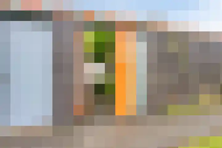 Landsteinerlaan 19 Groningen thumbnail 6