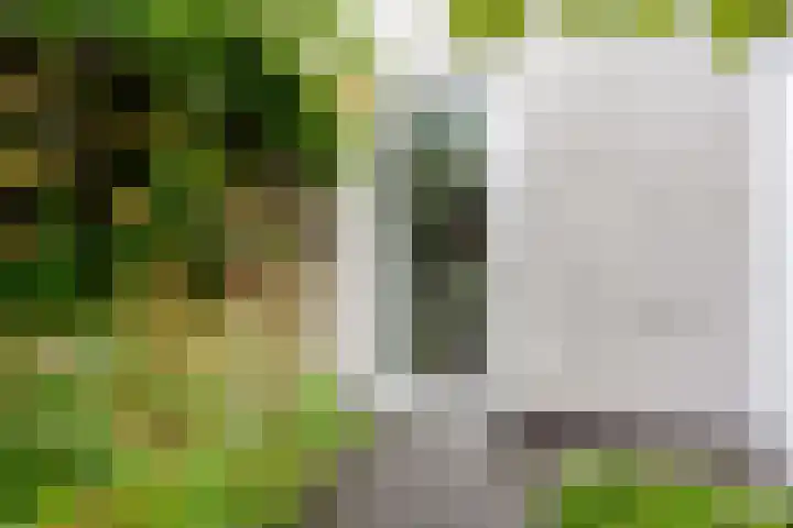 Landsteinerlaan 19 Groningen thumbnail 8