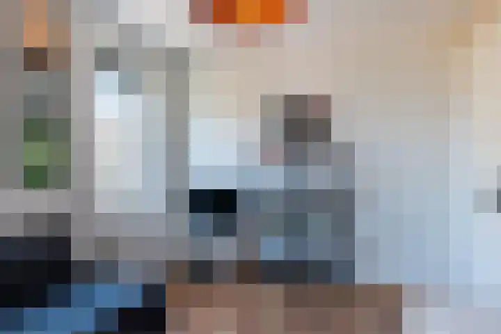 Landsteinerlaan 29 Groningen thumbnail 29