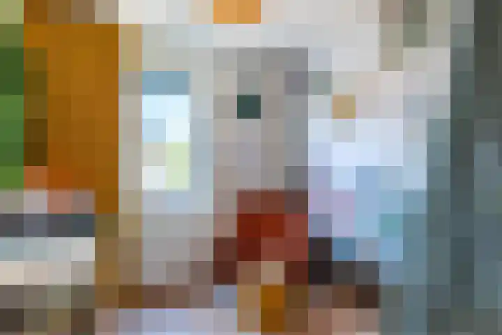 Landsteinerlaan 29 Groningen thumbnail 30