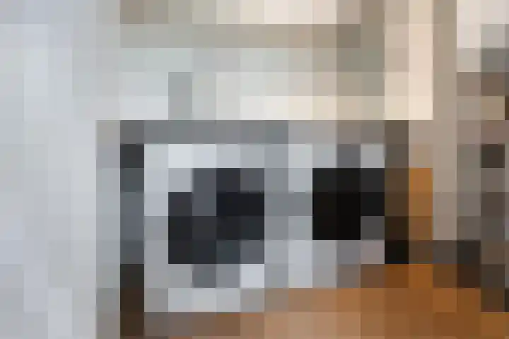 Landsteinerlaan 29 Groningen thumbnail 34