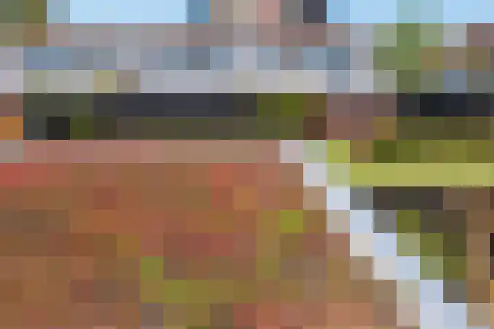 Landsteinerlaan 29 Groningen thumbnail 39