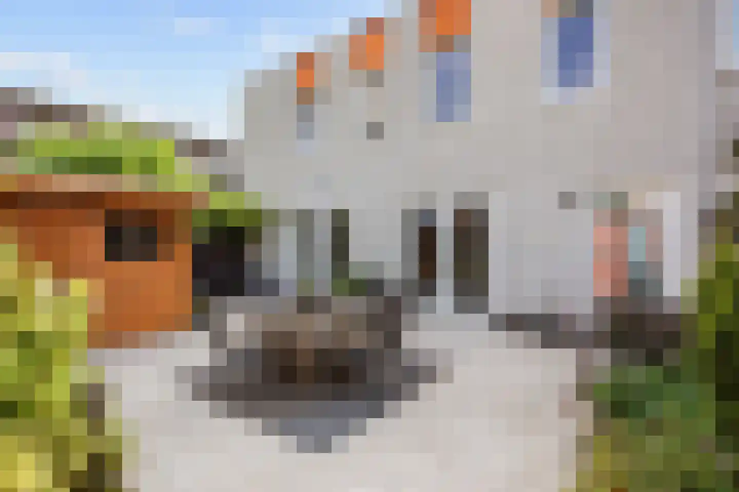 Landsteinerlaan 31 Groningen thumbnail 26