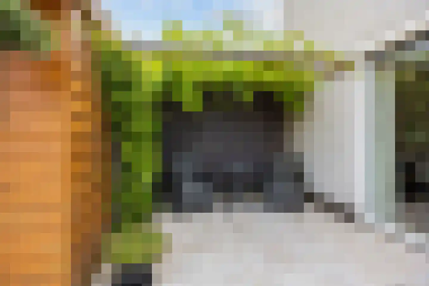 Landsteinerlaan 31 Groningen thumbnail 28